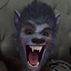 boogiebear12